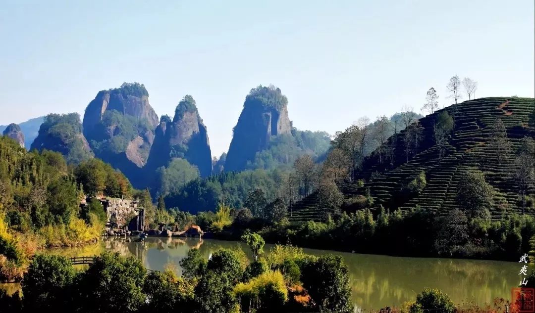 纯干货！武夷山四天三夜康养之旅！