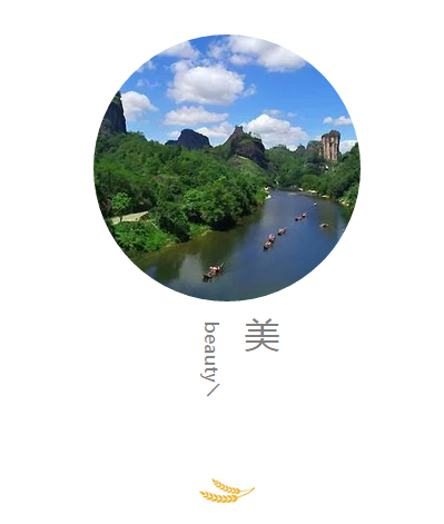 武夷 | 我见武夷多妩媚，料武夷见我应如是。